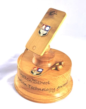 Information Technology trophy