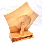 Primary ICT trophy