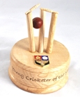 Wooden cricket trophy