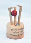 Cricket trophy