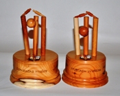 Individual cricket trophy 2013