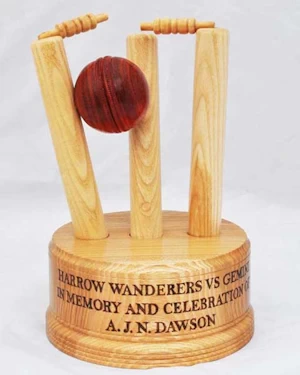 Cricket trophy