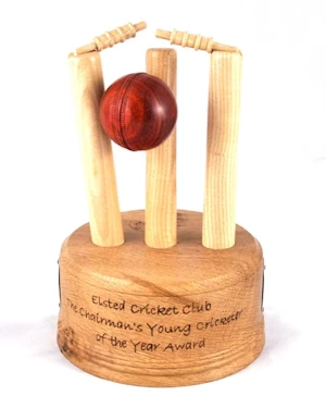 Cricket trophy