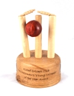 Cricket trophy