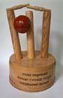 Cricket trophy