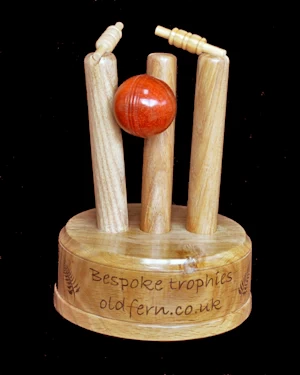 Sample cricket trophy