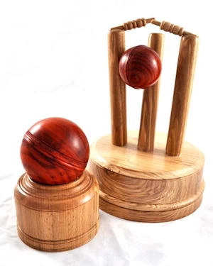Cricket trophy